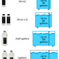 Snacklebox Sizing Guide