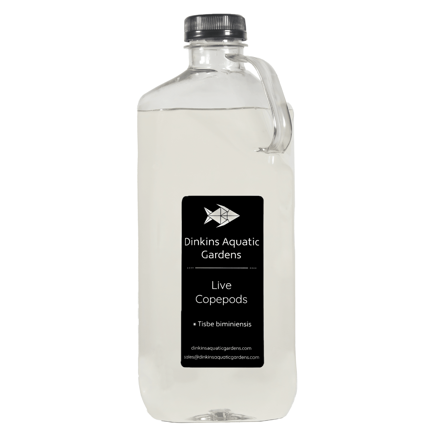 Tisbe Copepods (Half Gallon)